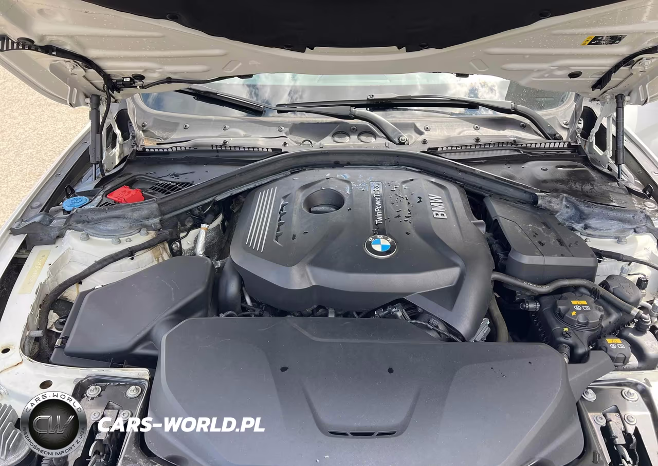 2018 BMW 430Xi Gran Coupe VIN:WBA4J3C55JBL04161 - 10