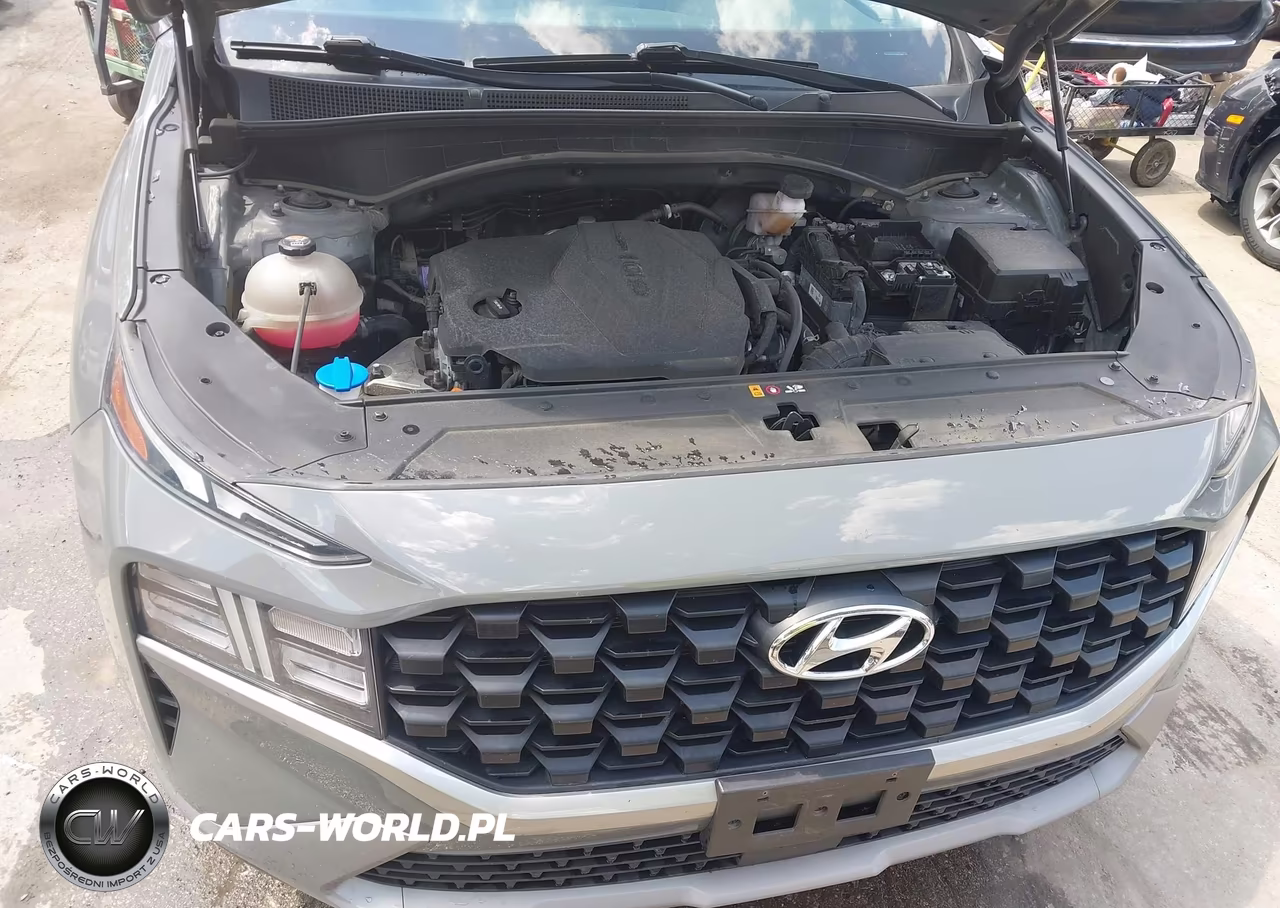 2023 Hyundai Santa Fe Sel VIN:5NMS2DAJ0PH540931 - 10