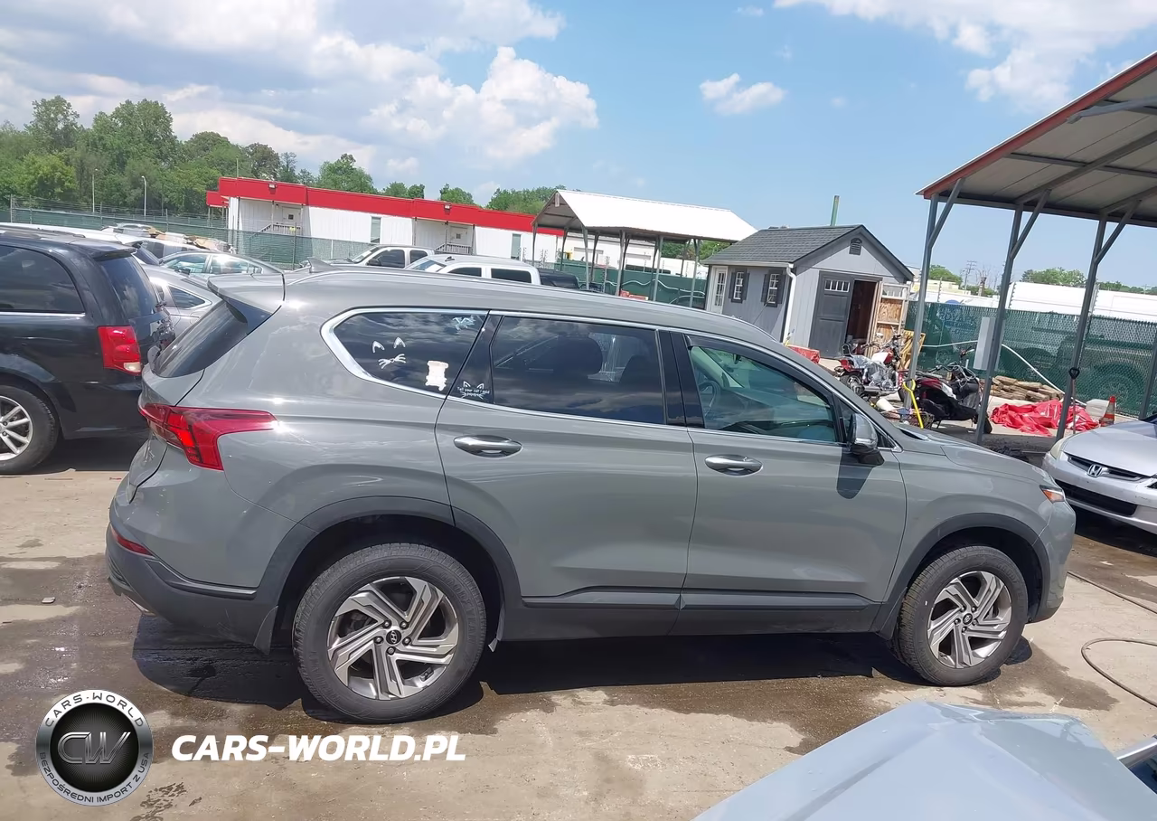 2023 Hyundai Santa Fe Sel VIN:5NMS2DAJ0PH540931 - 14