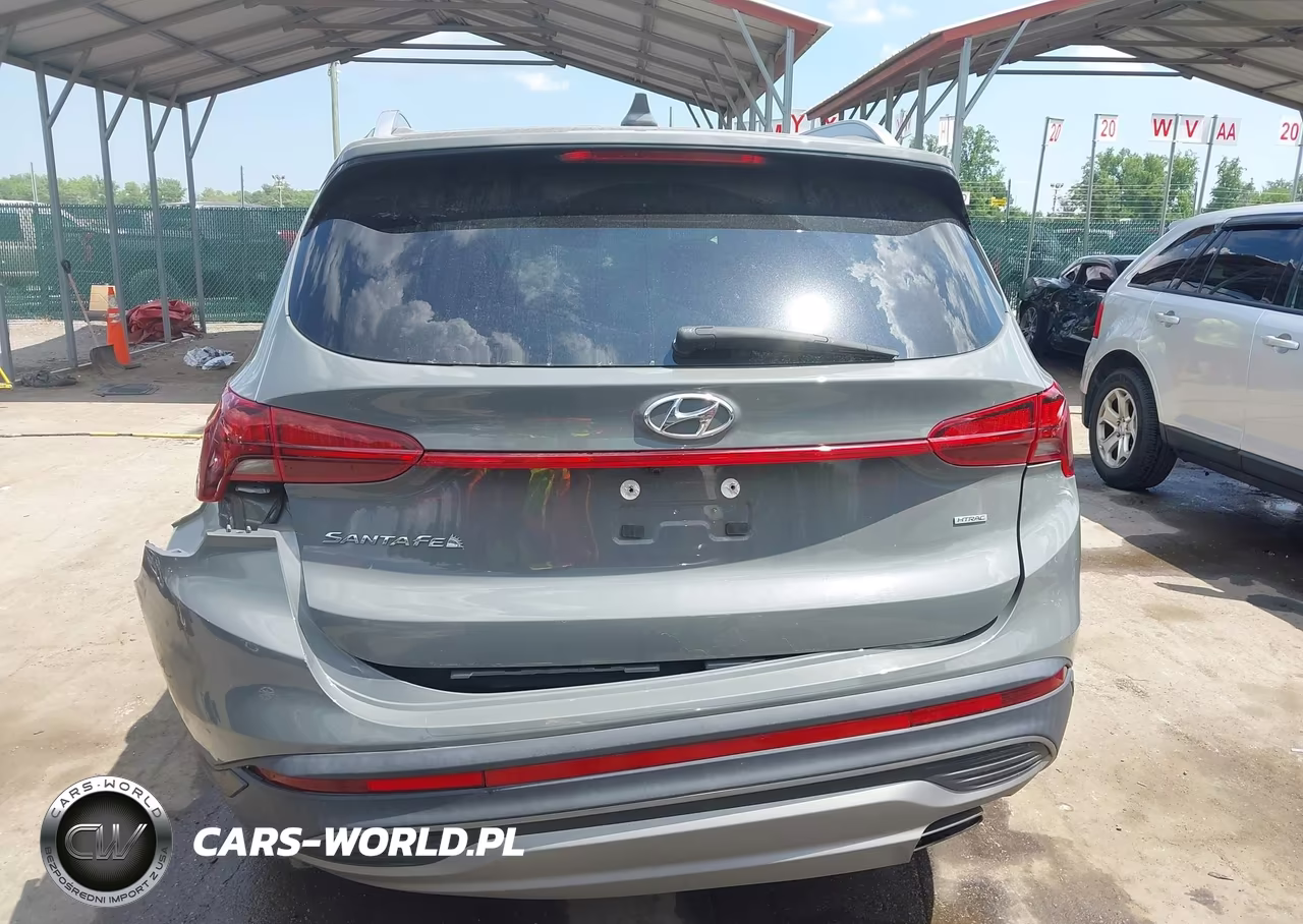 2023 Hyundai Santa Fe Sel VIN:5NMS2DAJ0PH540931 - 17