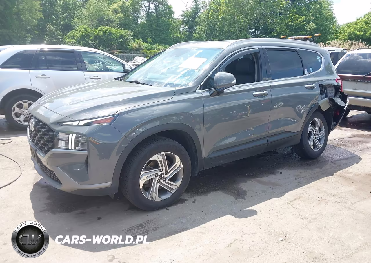 2023 Hyundai Santa Fe Sel VIN:5NMS2DAJ0PH540931 - 2