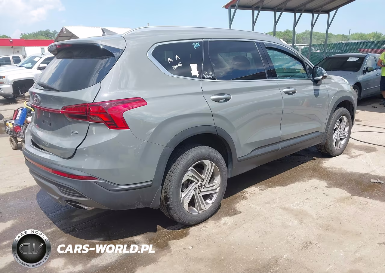 2023 Hyundai Santa Fe Sel VIN:5NMS2DAJ0PH540931 - 4