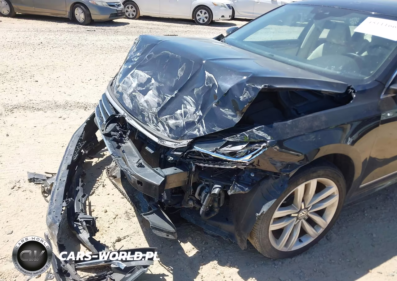 2017 Volkswagen Passat 1.8T Sel Premium VIN:1VWCT7A39HC029624 - 17