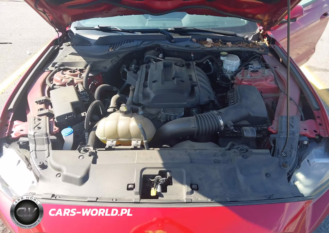 2020 Ford Mustang Ecoboost Fastback VIN:1FA6P8THXL5186097 - 10