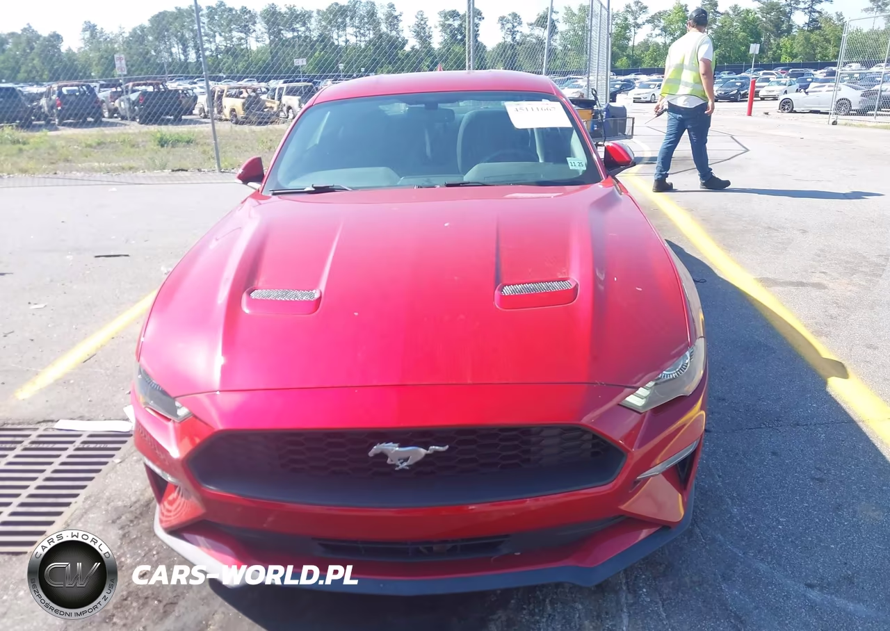 2020 Ford Mustang Ecoboost Fastback VIN:1FA6P8THXL5186097 - 12