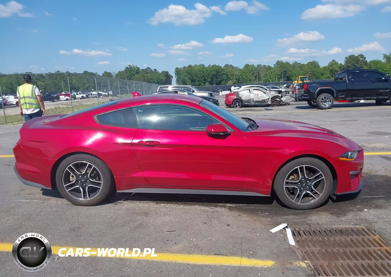 2020 Ford Mustang Ecoboost Fastback VIN:1FA6P8THXL5186097 - 13