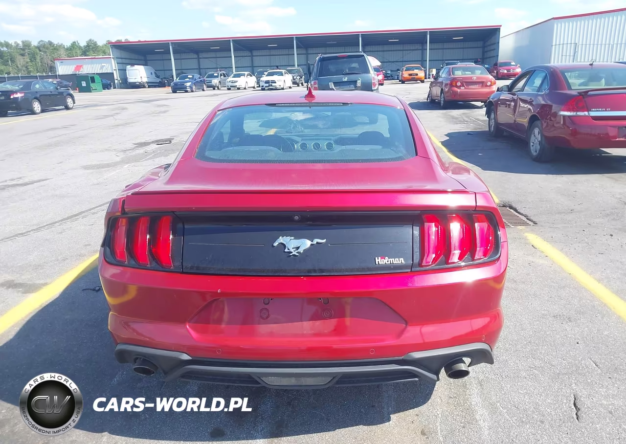 2020 Ford Mustang Ecoboost Fastback VIN:1FA6P8THXL5186097 - 16