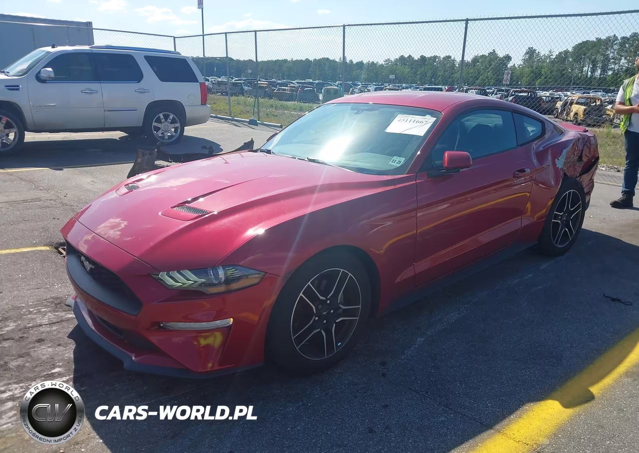 2020 Ford Mustang Ecoboost Fastback VIN:1FA6P8THXL5186097 - 2