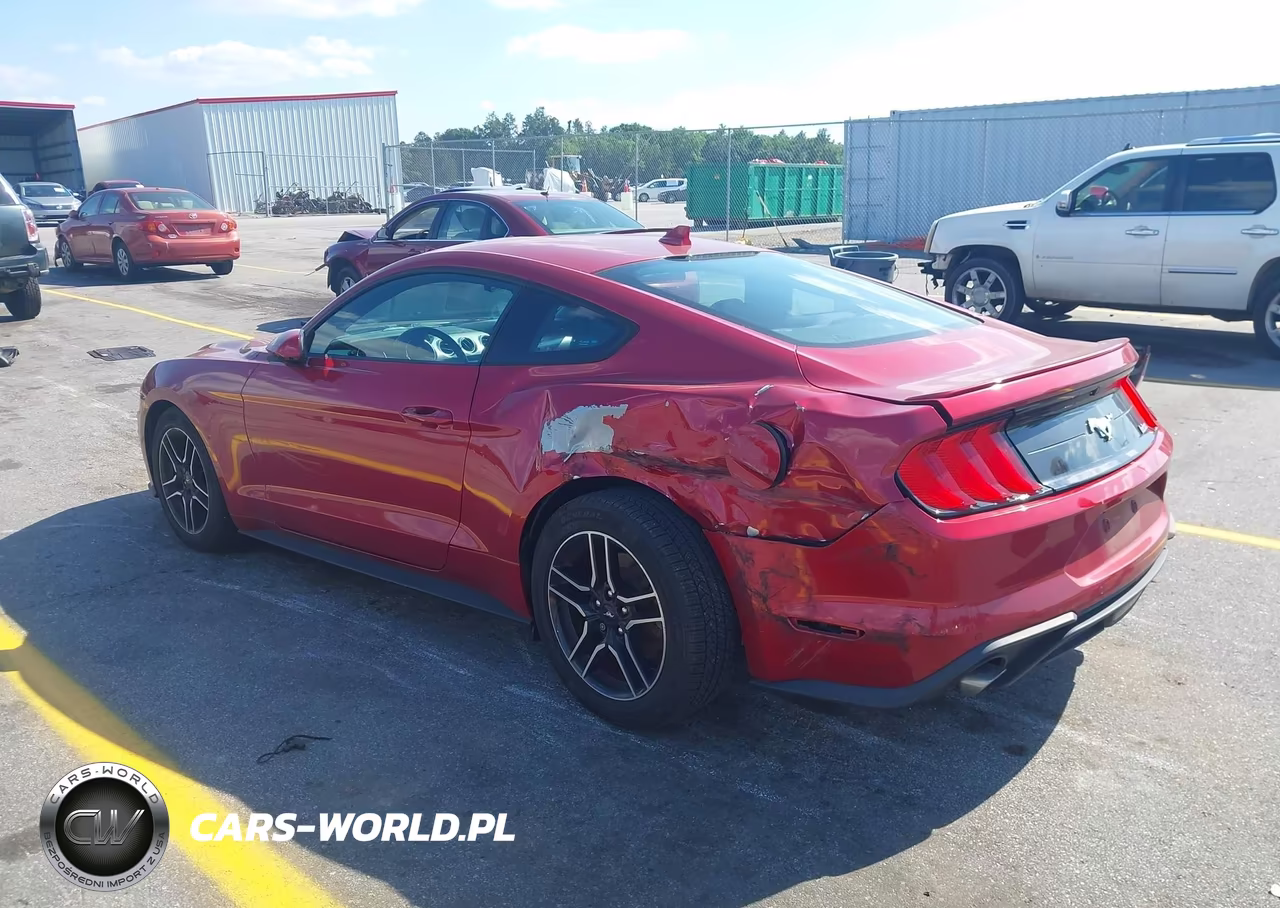 2020 Ford Mustang Ecoboost Fastback VIN:1FA6P8THXL5186097 - 3