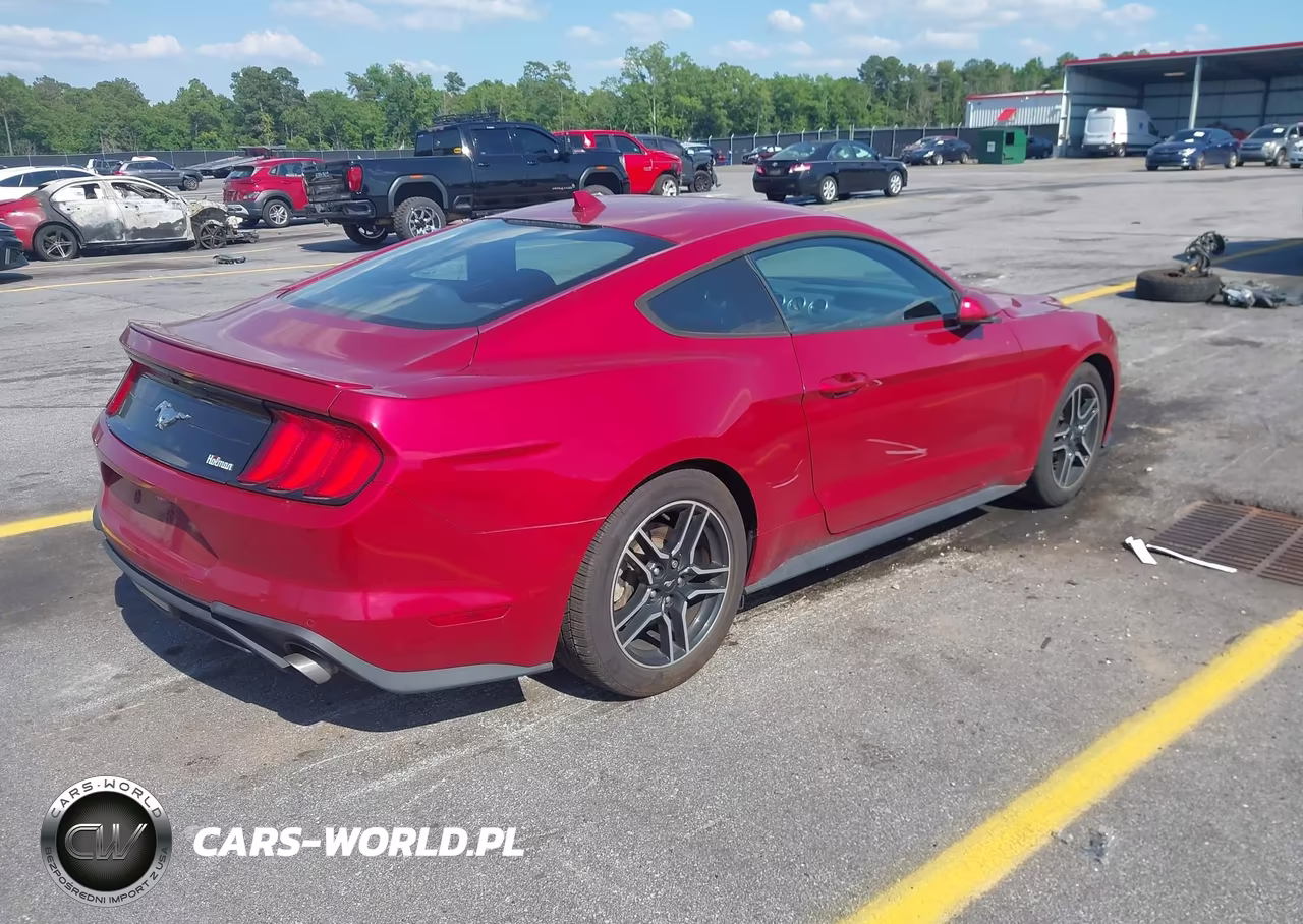 2020 Ford Mustang Ecoboost Fastback VIN:1FA6P8THXL5186097 - 4