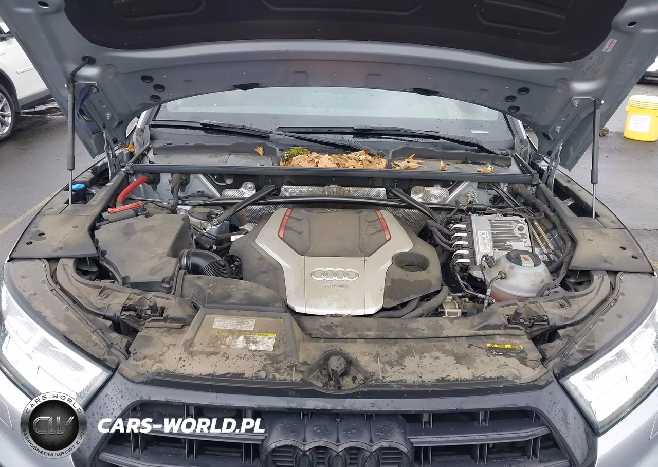 2019 Audi Sq5 3.0T Premium VIN:WA1C4AFY9K2098418 - 10