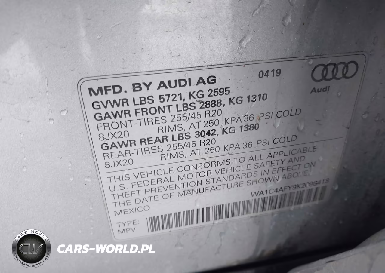 2019 Audi Sq5 3.0T Premium VIN:WA1C4AFY9K2098418 - 9