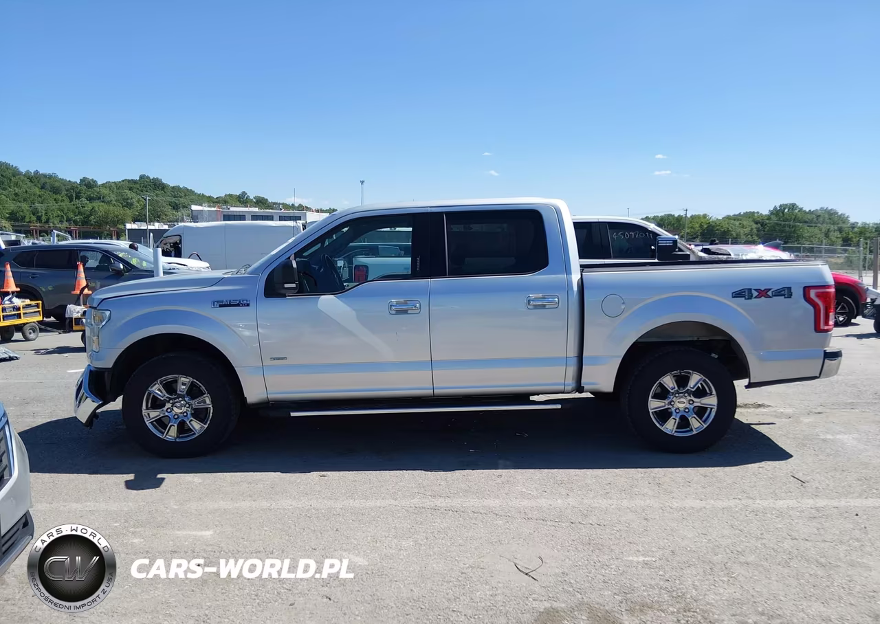 2015 Ford F-150 Xlt VIN:1FTEW1EG7FKD84923 - 15