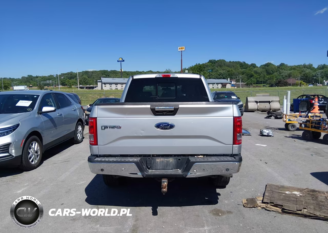 2015 Ford F-150 Xlt VIN:1FTEW1EG7FKD84923 - 17