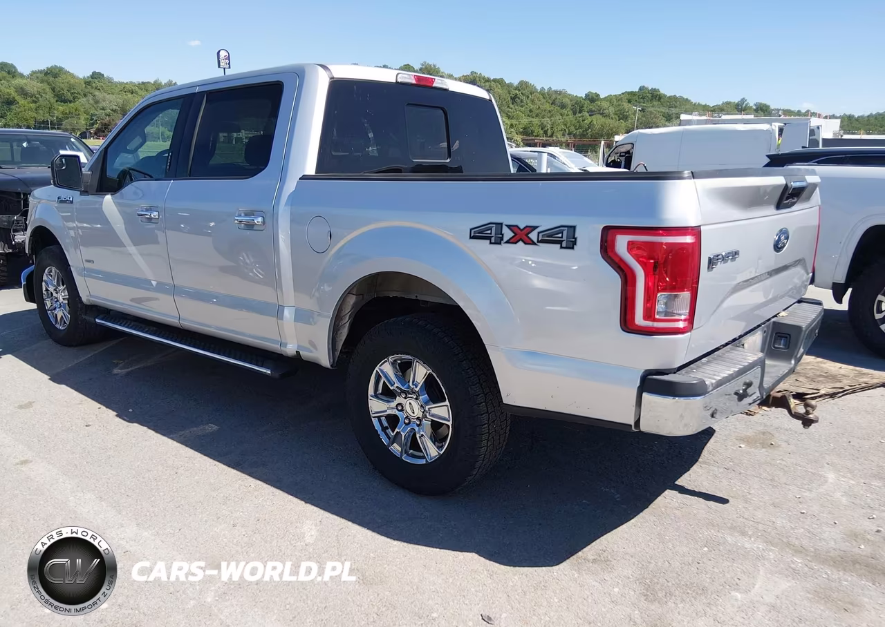 2015 Ford F-150 Xlt VIN:1FTEW1EG7FKD84923 - 3
