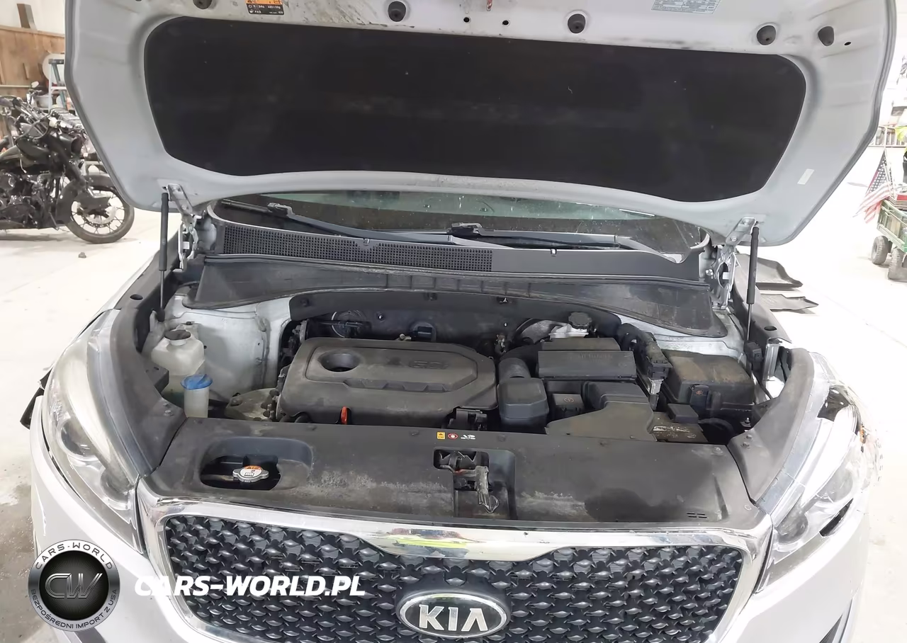 2017 Kia Sorento 2.4L Lx VIN:5XYPGDA34HG329218 - 10