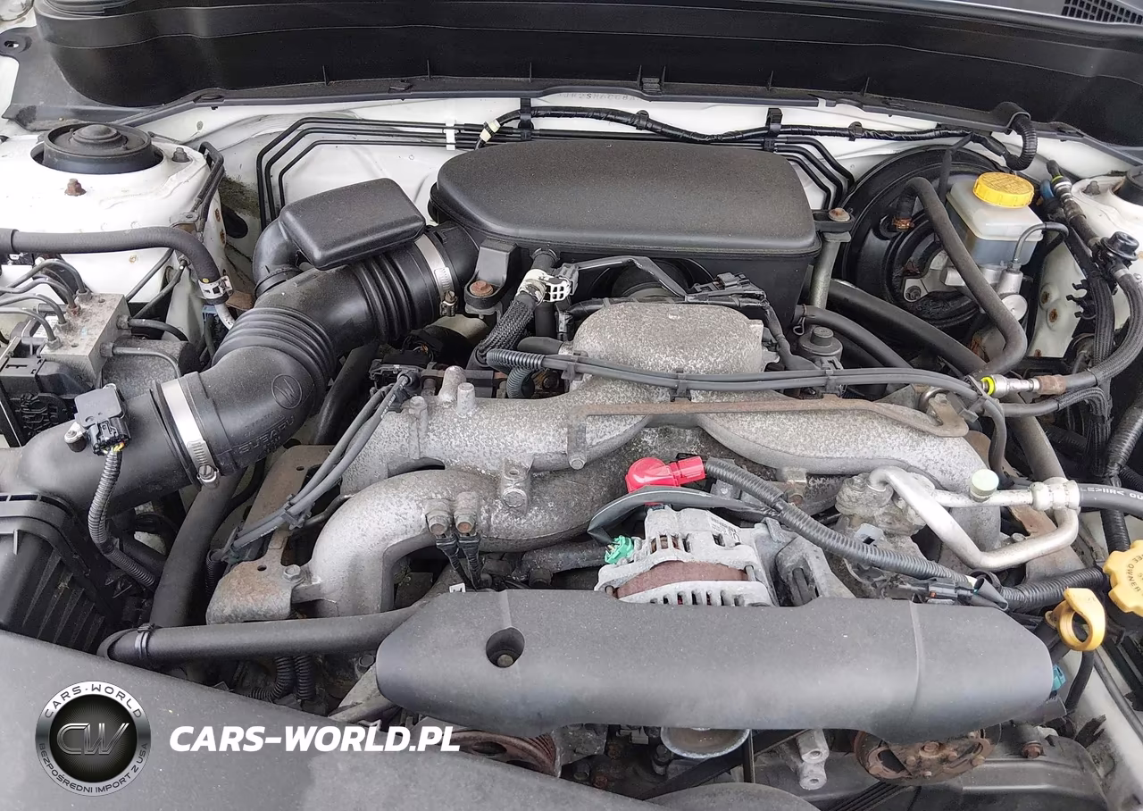 2010 Subaru Forester 2.5X Premium VIN:JF2SH6CC8AH779243 - 10