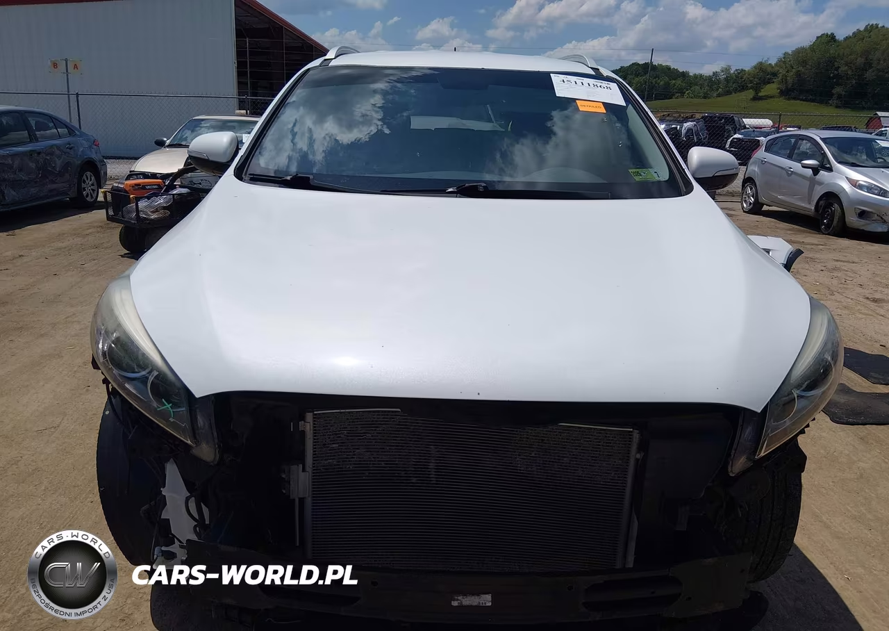 2017 Kia Sorento 2.4L Lx VIN:5XYPGDA37HG203872 - 13