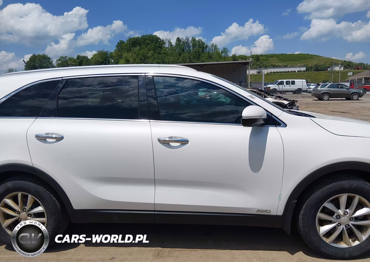 2017 Kia Sorento 2.4L Lx VIN:5XYPGDA37HG203872 - 14