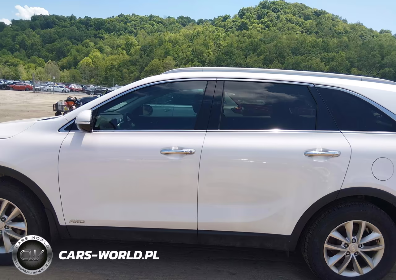 2017 Kia Sorento 2.4L Lx VIN:5XYPGDA37HG203872 - 15