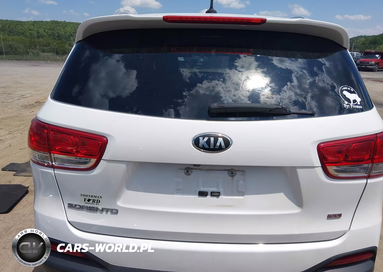 2017 Kia Sorento 2.4L Lx VIN:5XYPGDA37HG203872 - 17