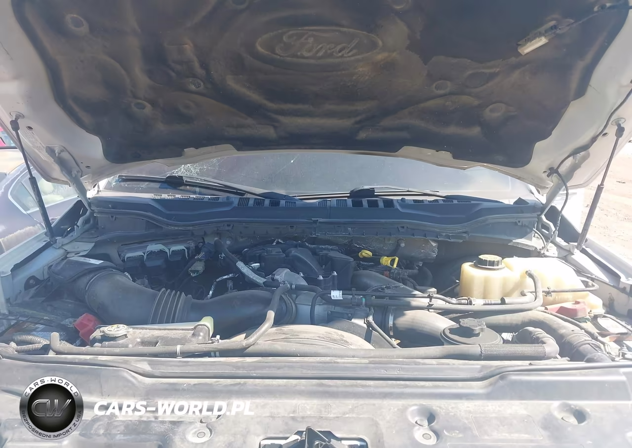 2019 Ford F-250 Platinum VIN:1FT7W2BT0KEG03021 - 10