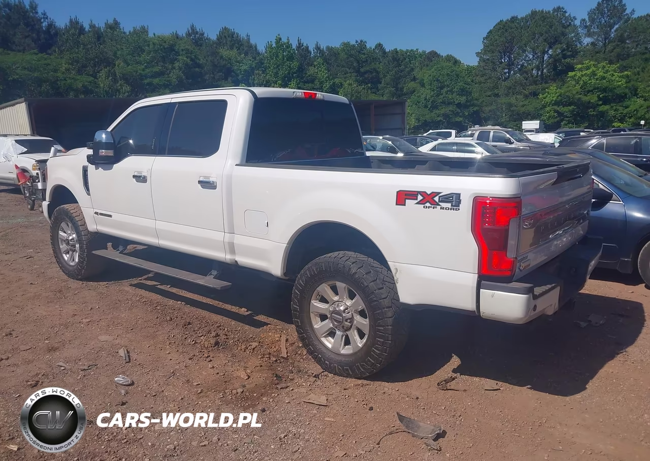 2019 Ford F-250 Platinum VIN:1FT7W2BT0KEG03021 - 3