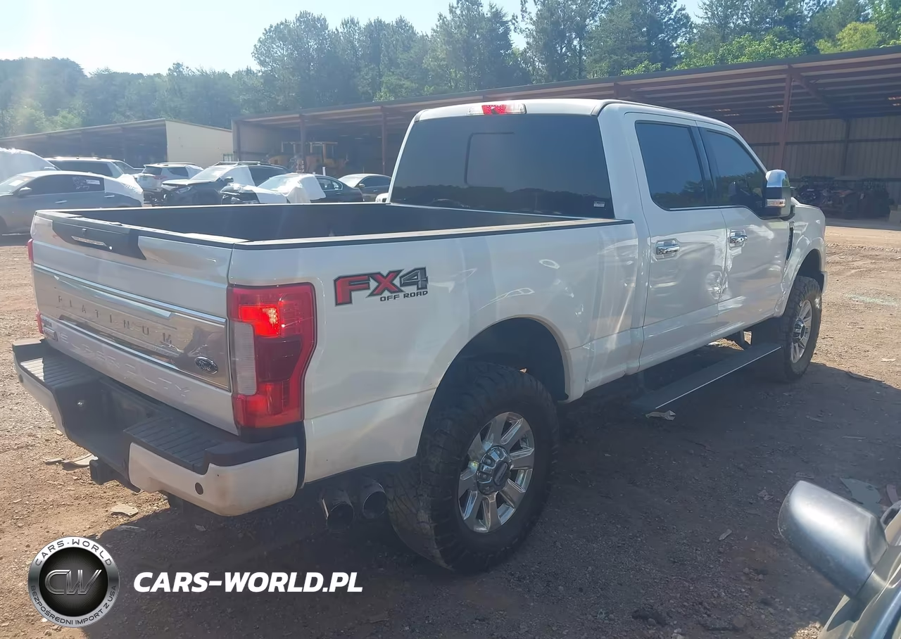 2019 Ford F-250 Platinum VIN:1FT7W2BT0KEG03021 - 4
