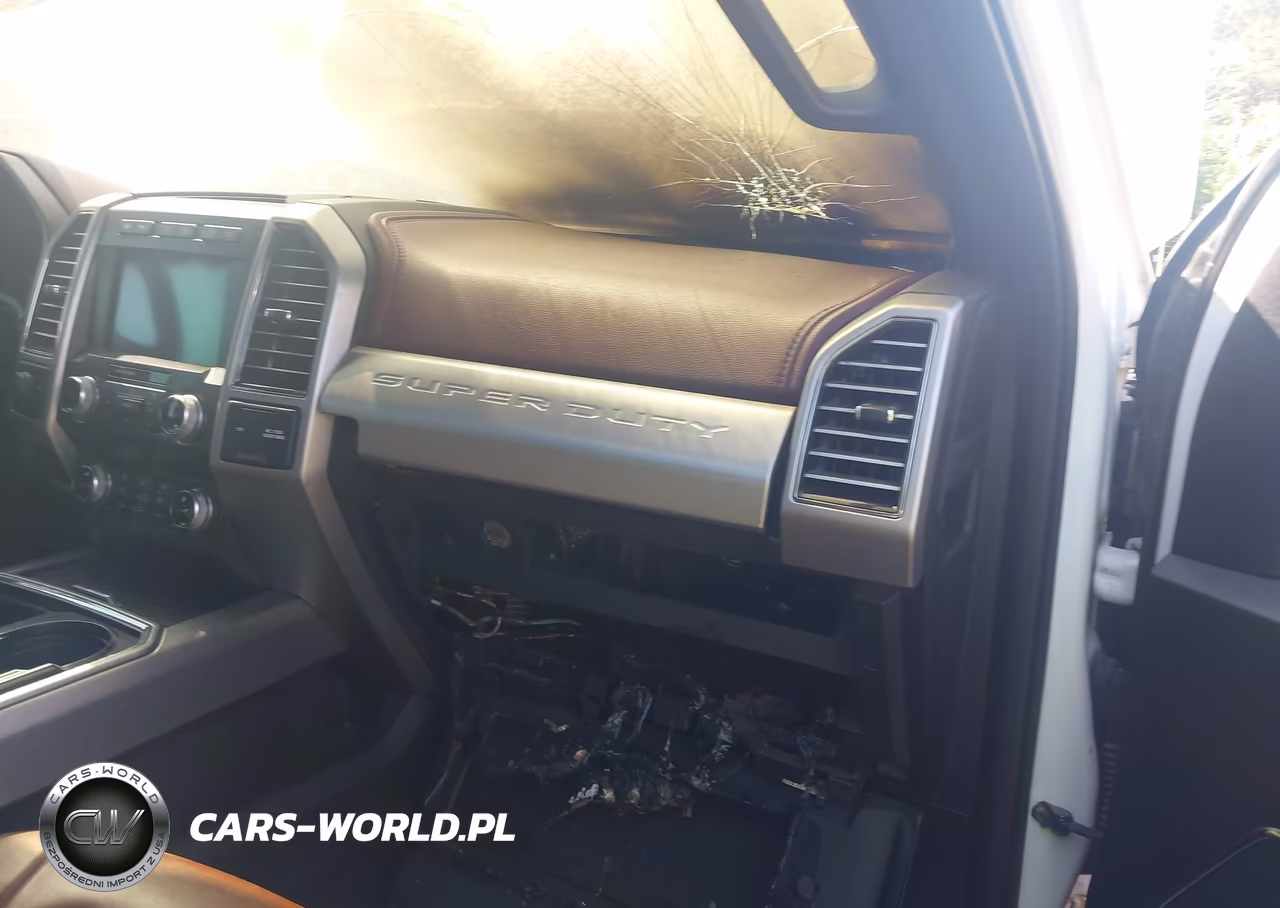 2019 Ford F-250 Platinum VIN:1FT7W2BT0KEG03021 - 6