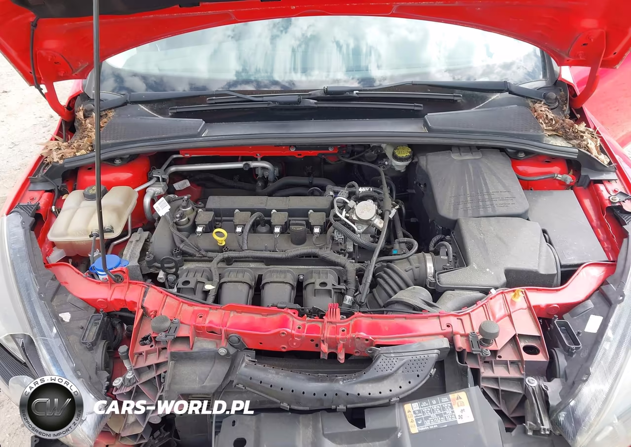 2016 Ford Focus Se VIN:1FADP3F20GL332820 - 10