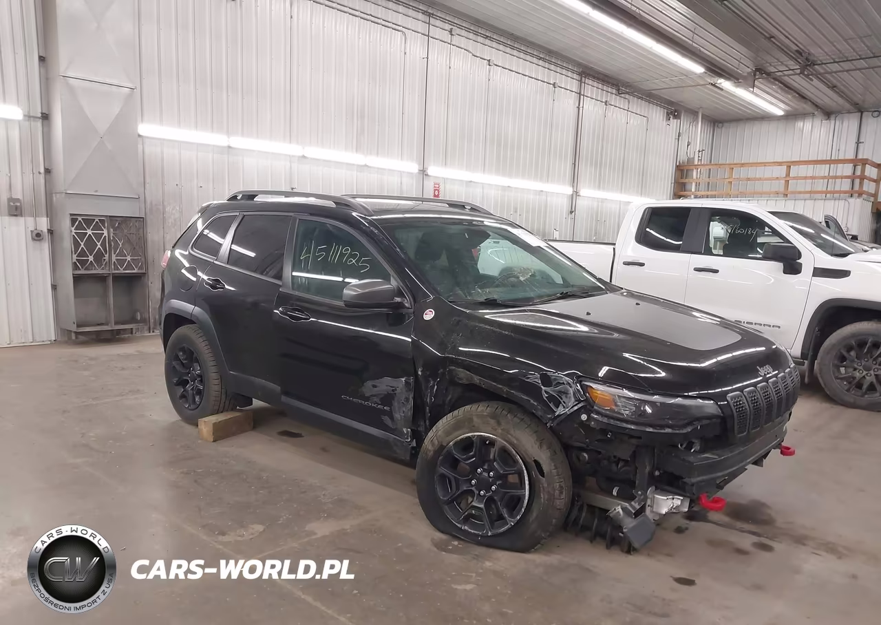 2020 Jeep Cherokee Trailhawk 4X4 VIN:1C4PJMBXXLD646284 - 1