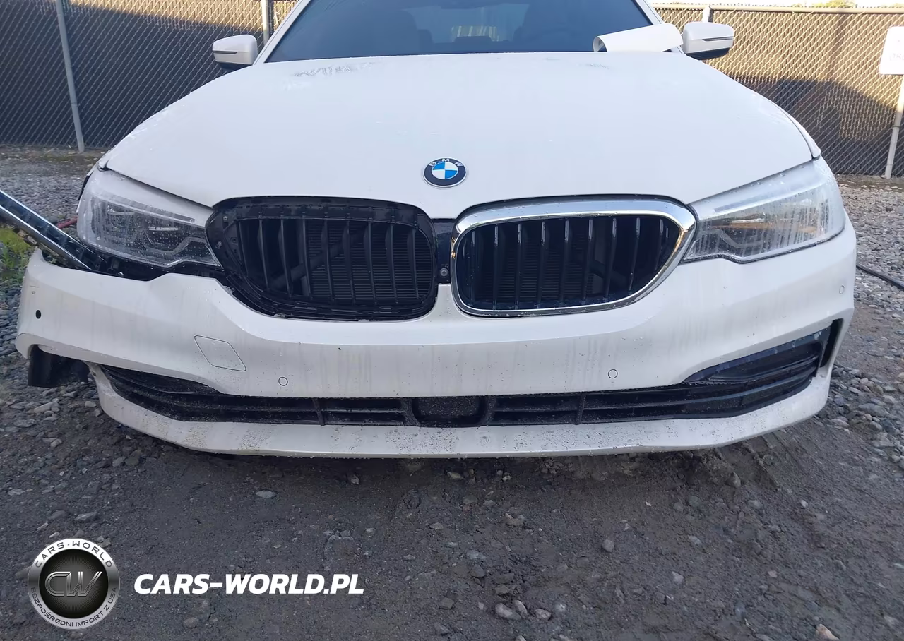 2019 BMW 540I VIN:WBAJE5C55KWE66694 - 12