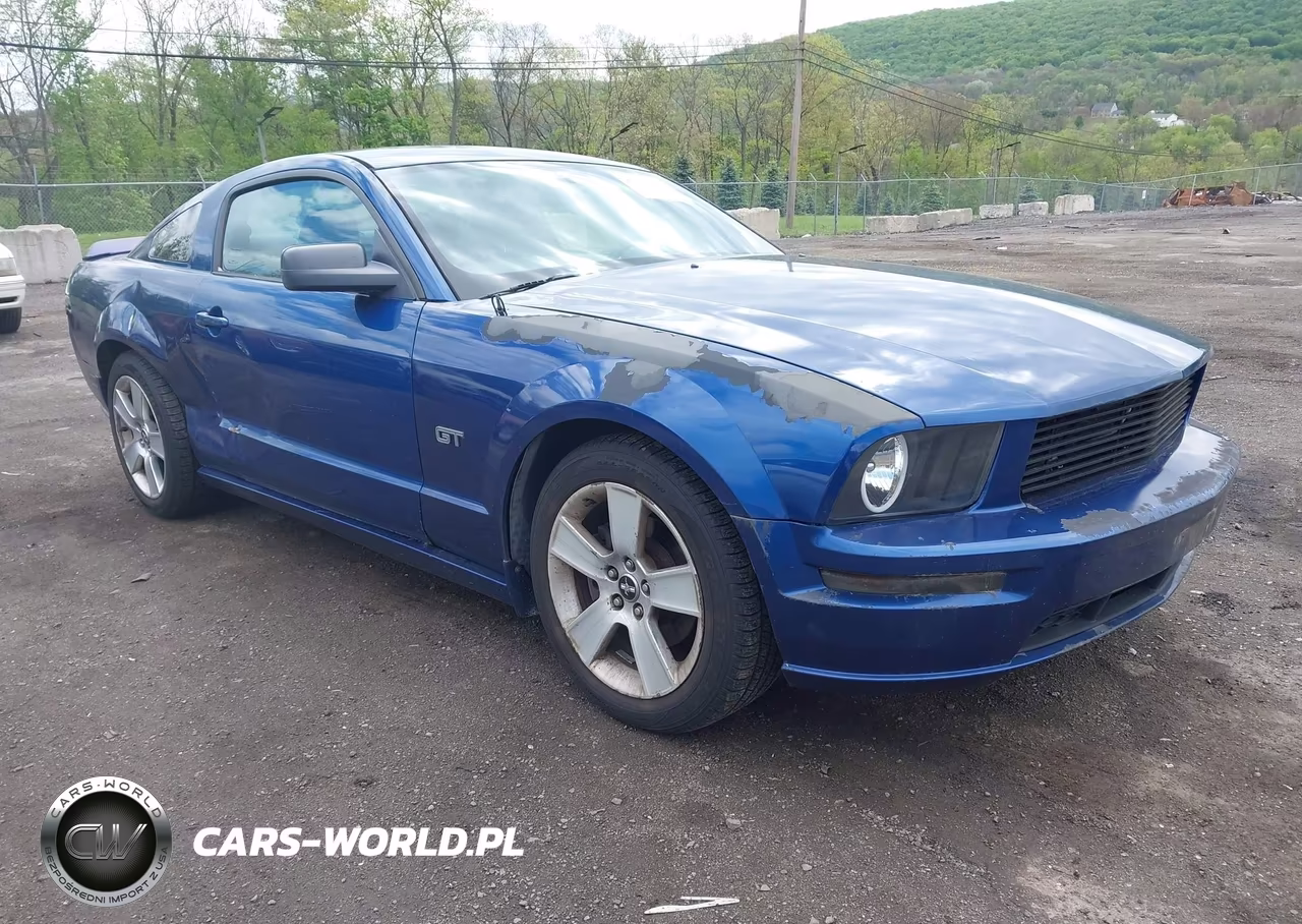 Główne zdjęcie 2006 Ford Mustang Gt