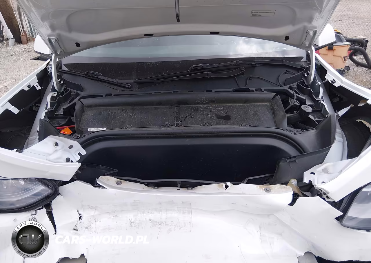 2023 Tesla Model Y Performance Dual Motor All-Wheel Drive VIN:7SAYGDEF1PF700983 - 10