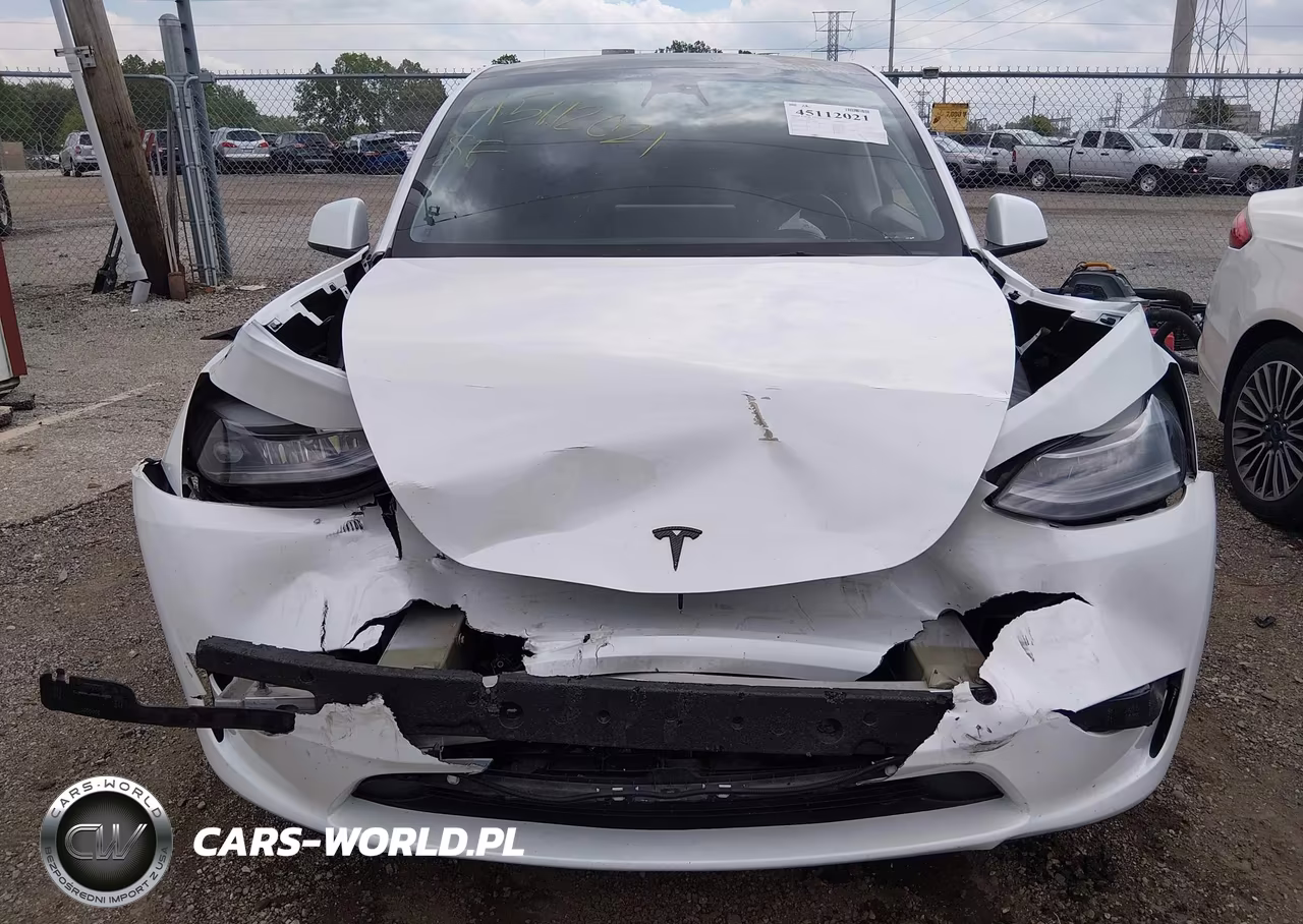 2023 Tesla Model Y Performance Dual Motor All-Wheel Drive VIN:7SAYGDEF1PF700983 - 12