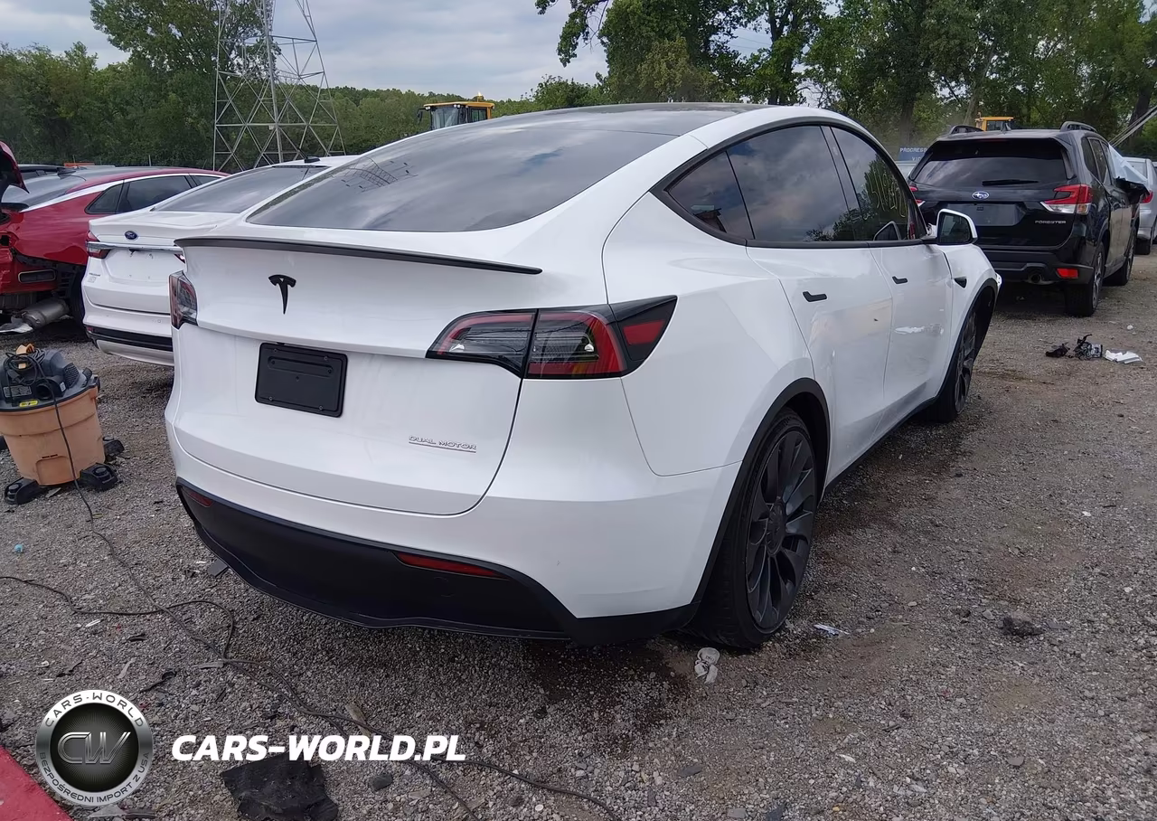 2023 Tesla Model Y Performance Dual Motor All-Wheel Drive VIN:7SAYGDEF1PF700983 - 4