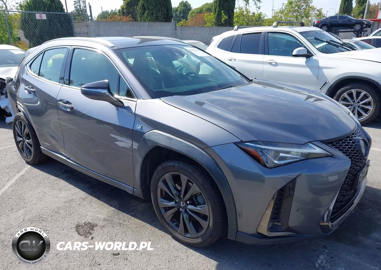 2019 Lexus Ux 250H F Sport
