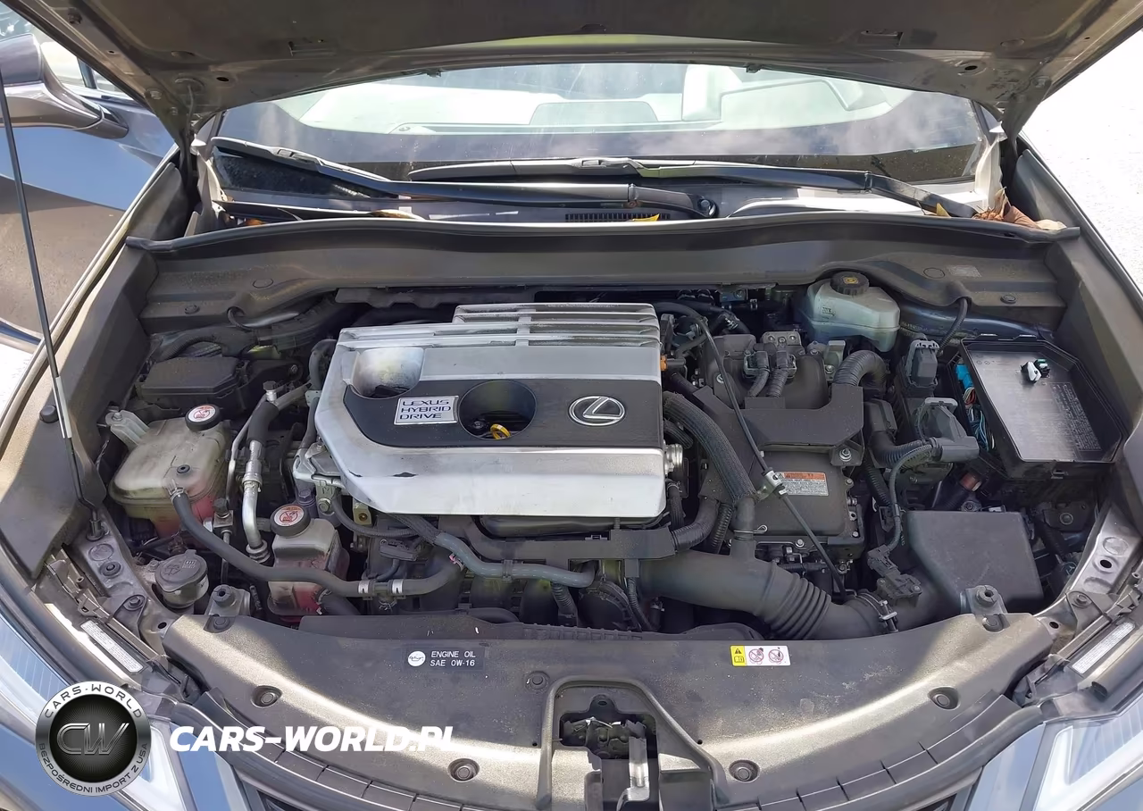 2019 Lexus Ux 250H F Sport VIN:JTHU9JBH5K2011811 - 10