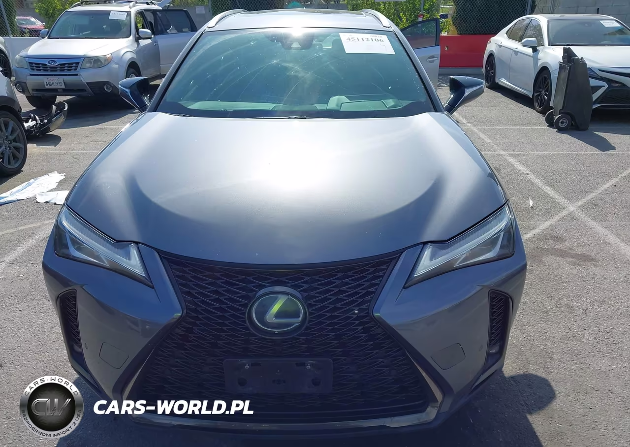 2019 Lexus Ux 250H F Sport VIN:JTHU9JBH5K2011811 - 12