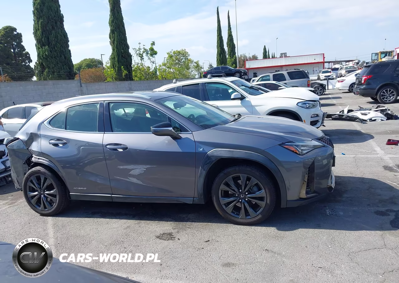 2019 Lexus Ux 250H F Sport VIN:JTHU9JBH5K2011811 - 13