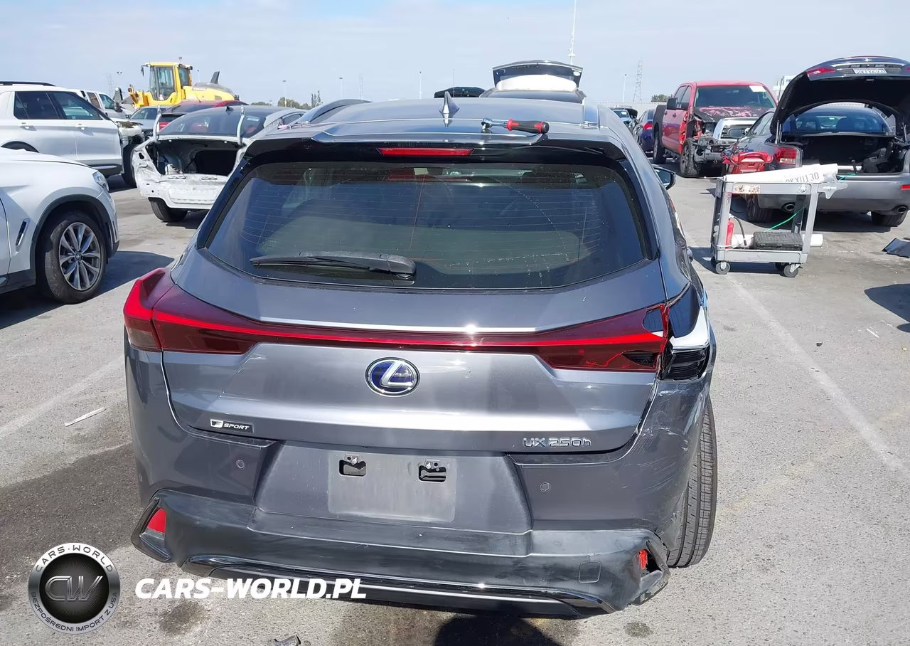 2019 Lexus Ux 250H F Sport VIN:JTHU9JBH5K2011811 - 16