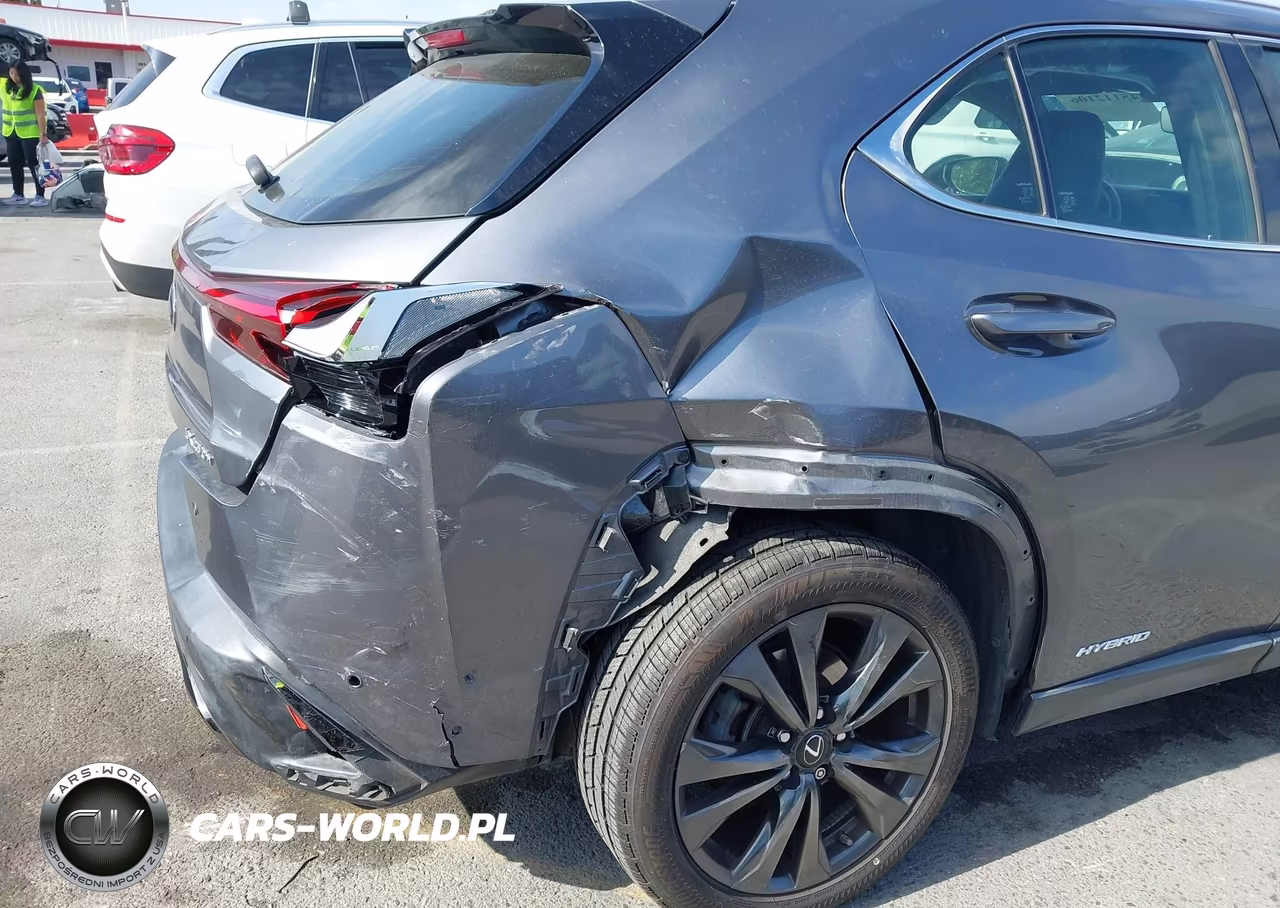 2019 Lexus Ux 250H F Sport VIN:JTHU9JBH5K2011811 - 6