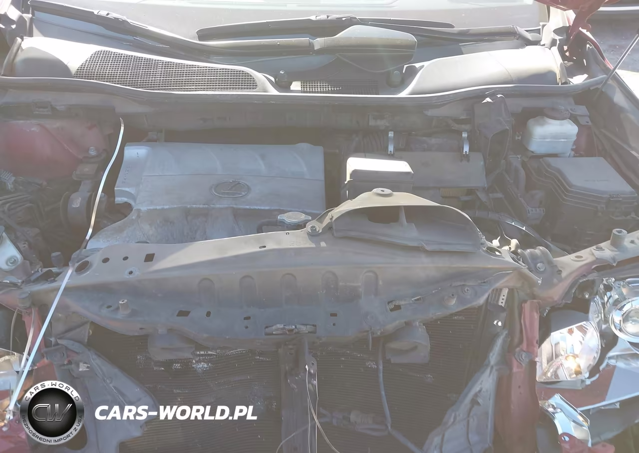 2010 Lexus Rx 350 VIN:2T2ZK1BA4AC025919 - 10