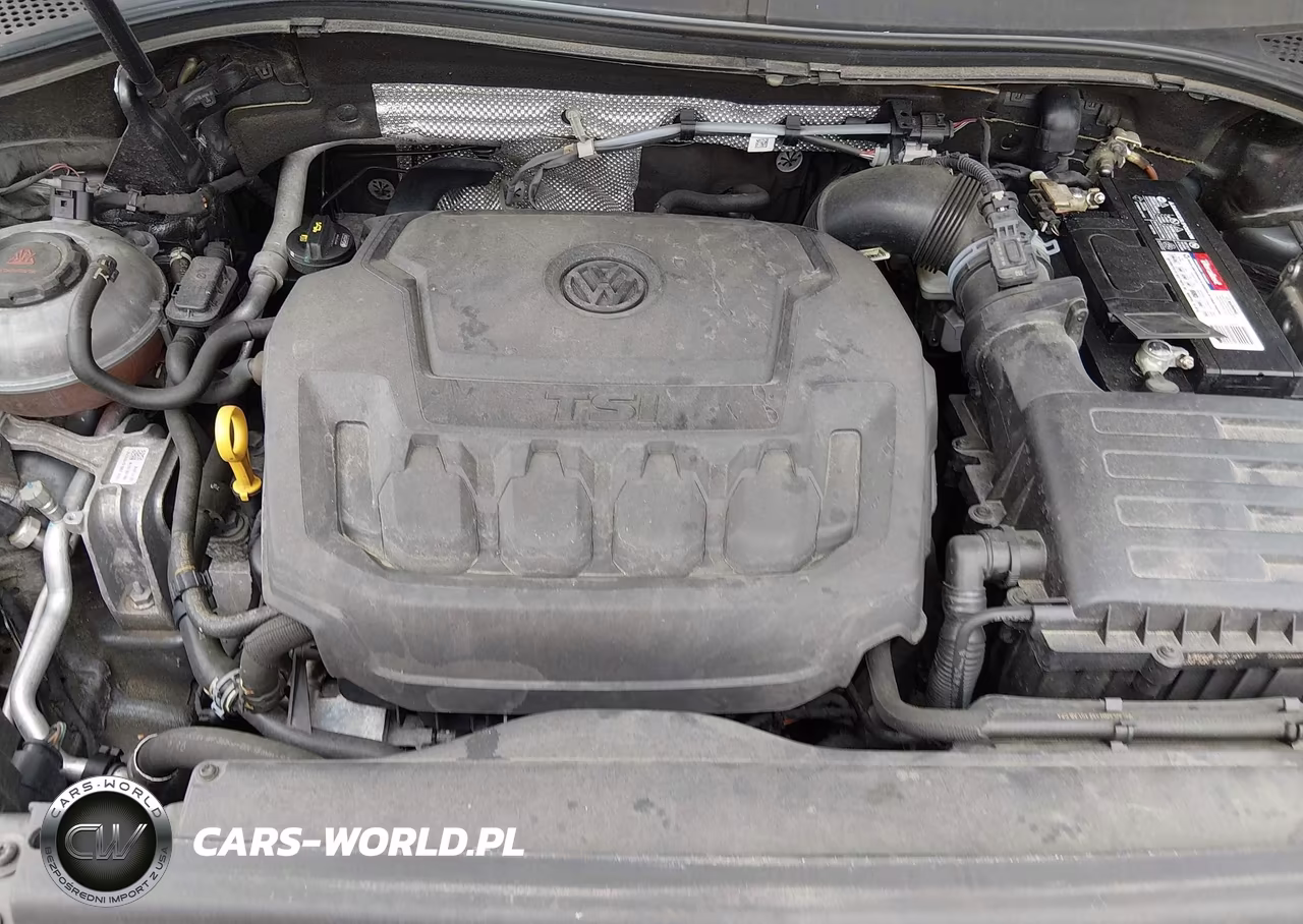 2019 Volkswagen Tiguan 2.0T S VIN:3VV0B7AX0KM054950 - 10