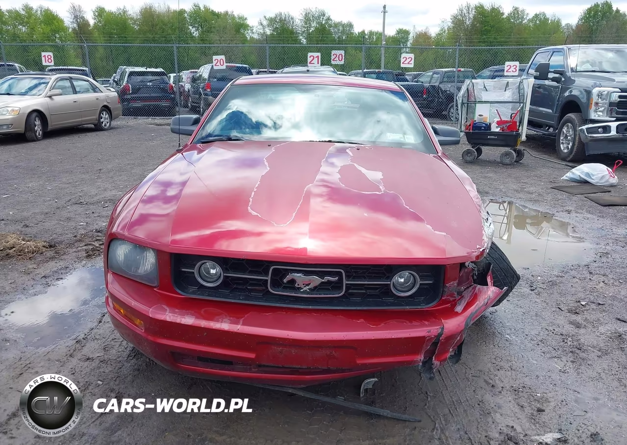 2006 Ford Mustang V6 VIN:1ZVFT80N065155863 - 11
