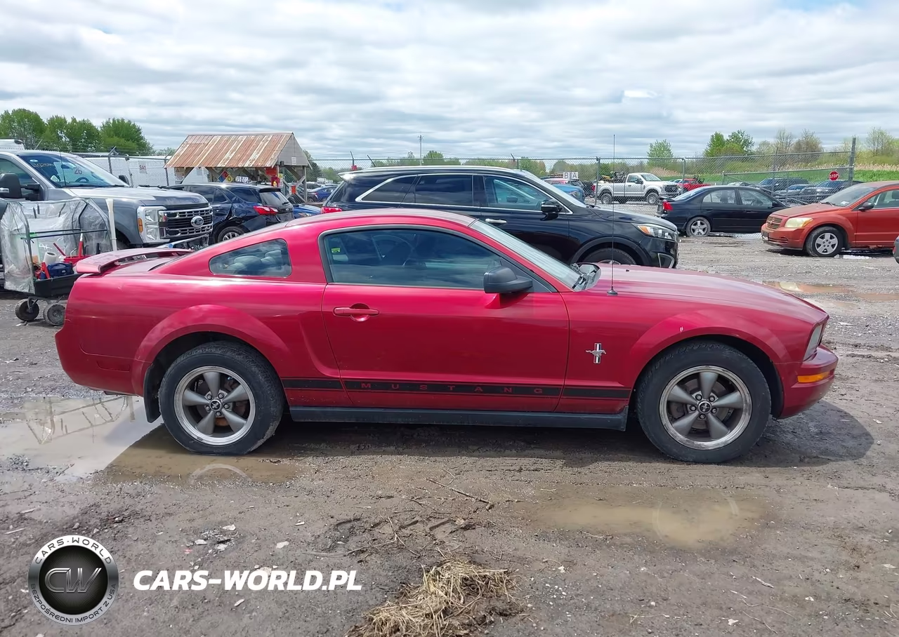 2006 Ford Mustang V6 VIN:1ZVFT80N065155863 - 12