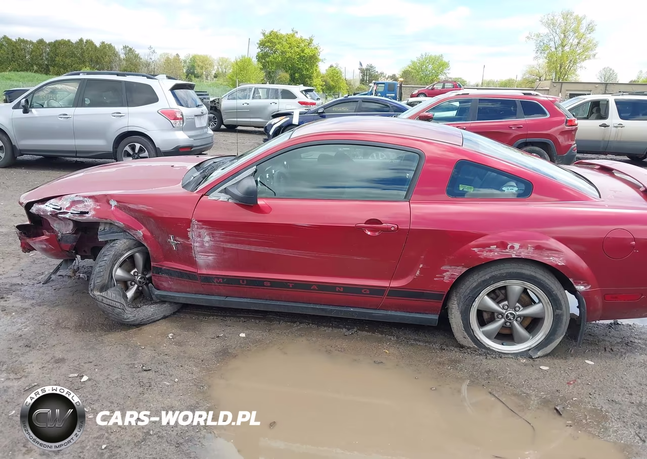 2006 Ford Mustang V6 VIN:1ZVFT80N065155863 - 13