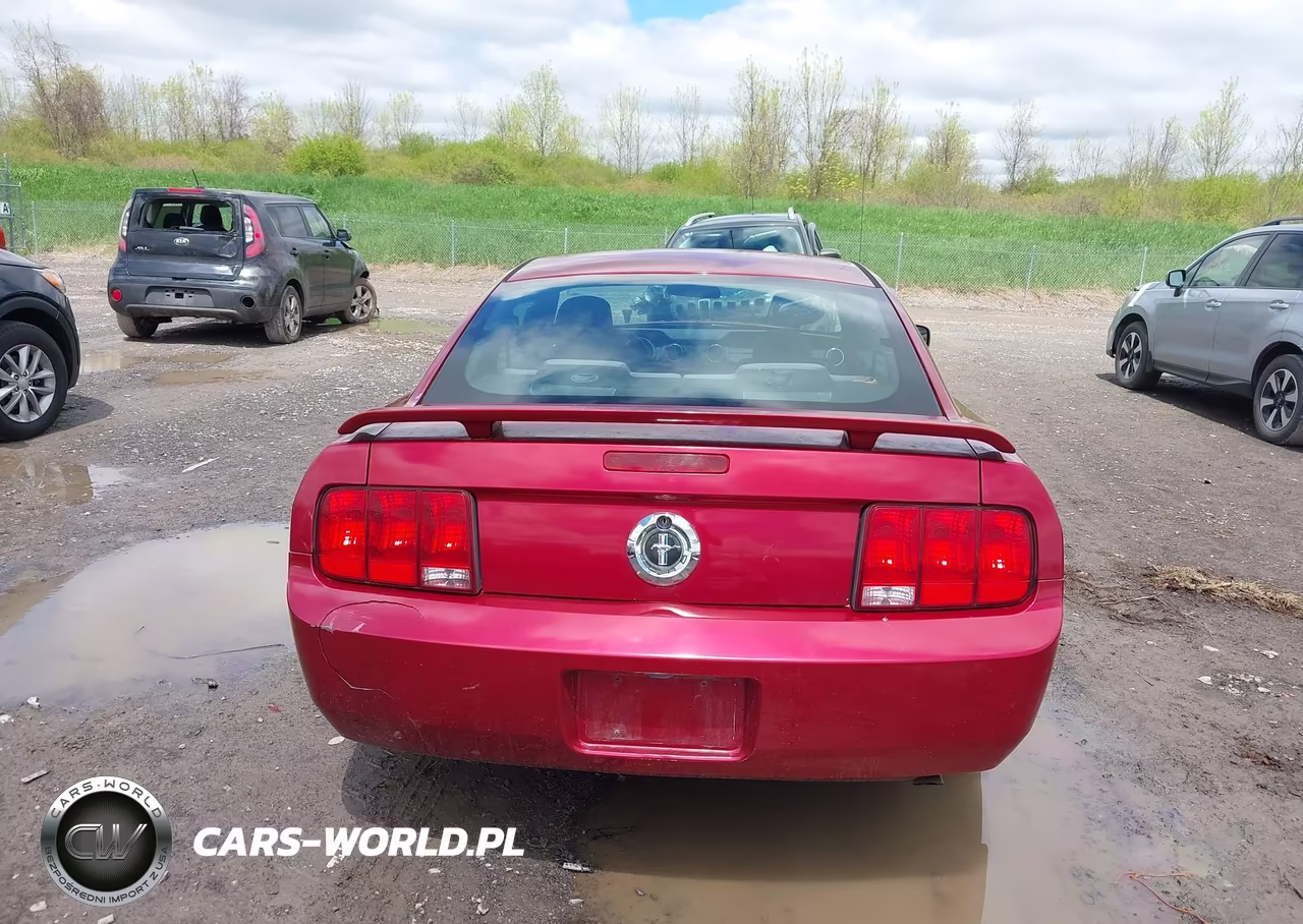 2006 Ford Mustang V6 VIN:1ZVFT80N065155863 - 15