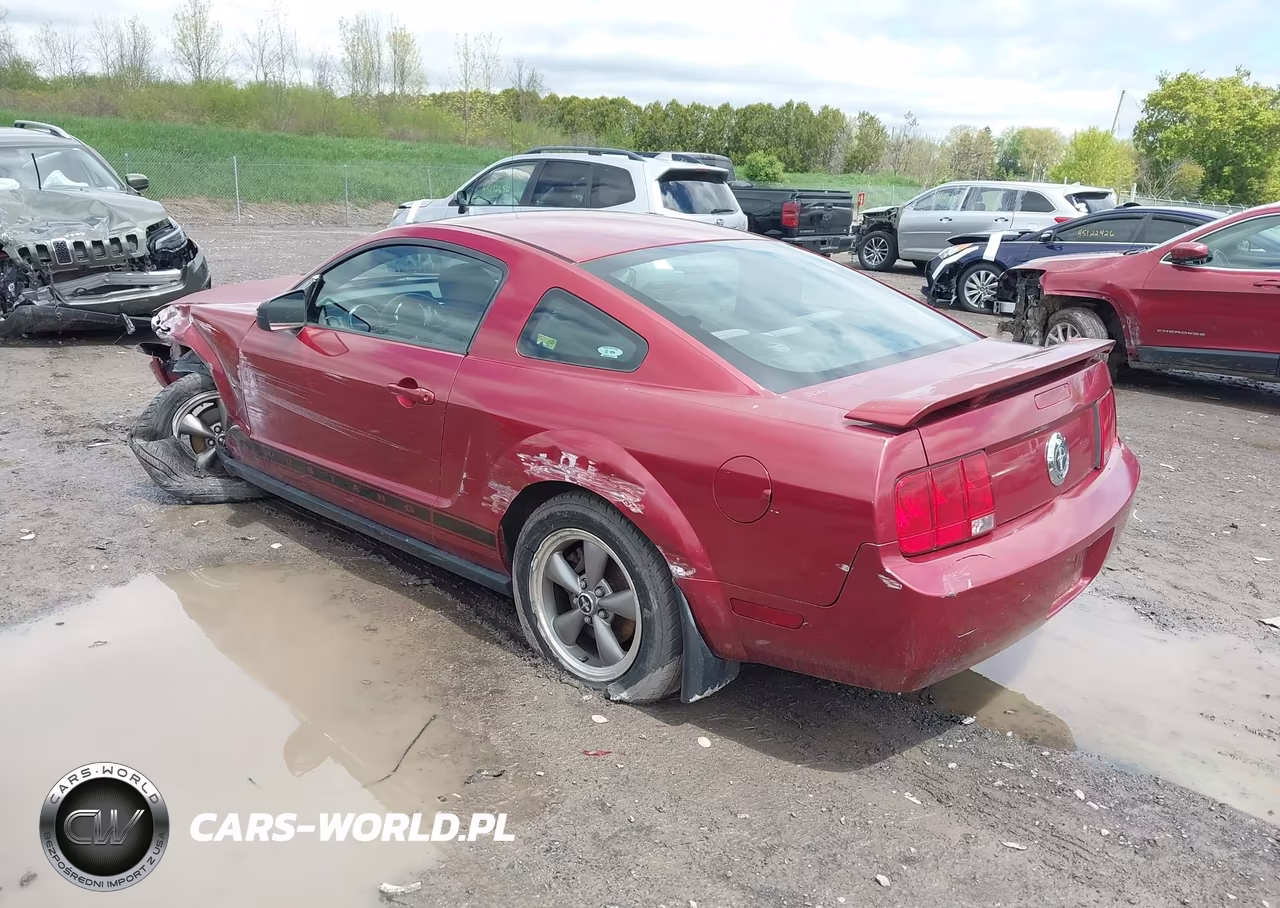2006 Ford Mustang V6 VIN:1ZVFT80N065155863 - 3