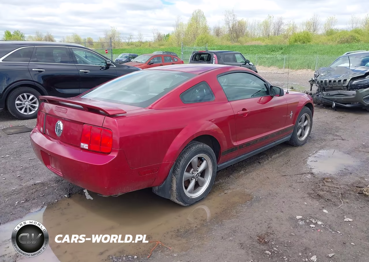 2006 Ford Mustang V6 VIN:1ZVFT80N065155863 - 4